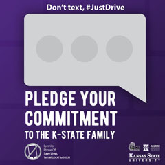 Don't Text #JustDrive