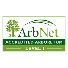 ArbNet Badge
