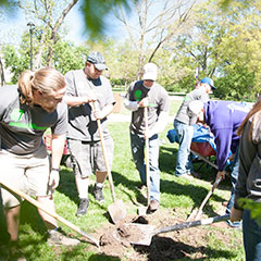 Arboriculture students dig a hole in preparation for one of Thursday's plantings.
