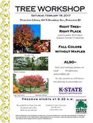 Tree workshop flyer