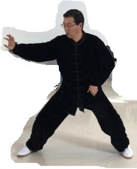 Instuctor Liu performing Tai Ji