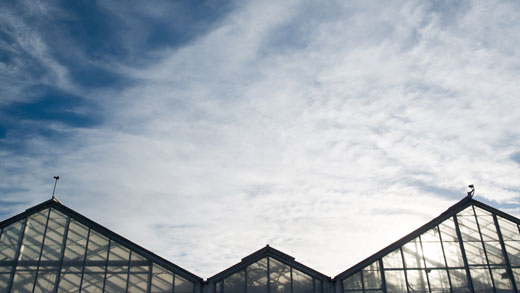 Greenhouses