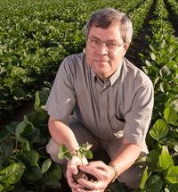 Chuck Rice in soybean field.