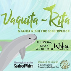 Vaquita 