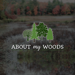 About My Woods