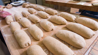Bread dough 