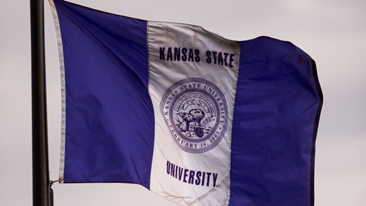 K-State flag