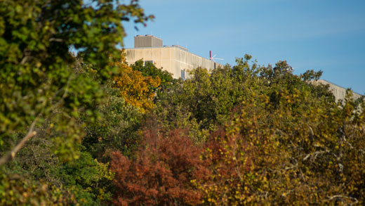 Bluemont fall colors 