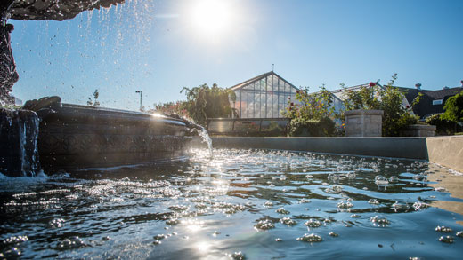 Bubbles in water