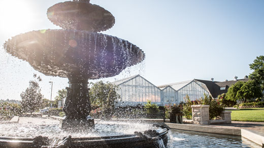 Fountain at Gardens