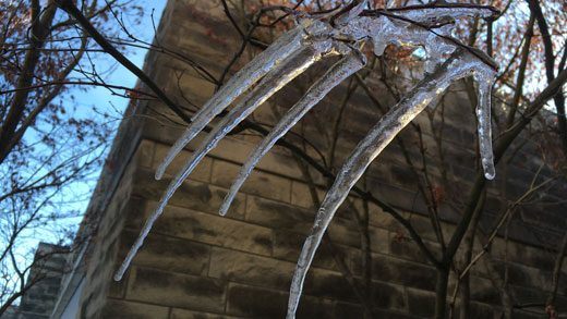 Icicles 