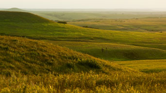 Konza Prairie 