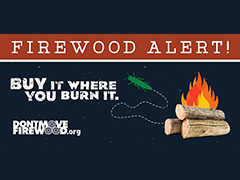 Don't Move Firewood