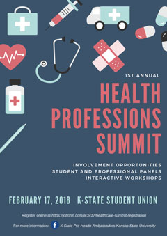 Health Professions Summit Flyer with Registration Link