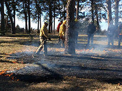 Prescribed Fire