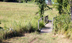 Marlatt Park, Image by Bre Nelson