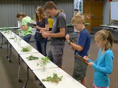 National 4-h horticulture contest