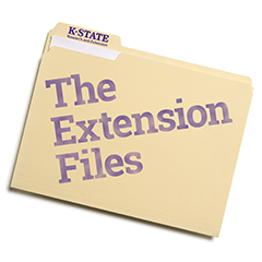 Extension Files album art