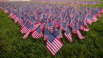 Flags on campus