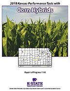 Corn Hybrids