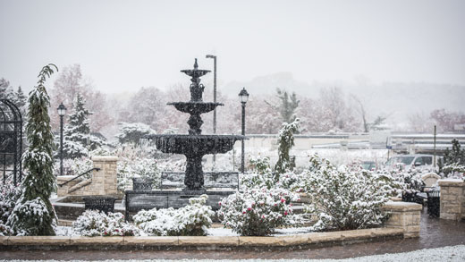 Kansas State University Gardens in the winter. 