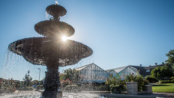 Fountain at Gardens