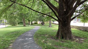 Path behind College of Business Building 
