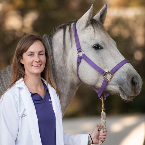 Haydan Vosburgh, fourth-year veterinary medicine student at K-State, plans to pursue a career in equine medicine.