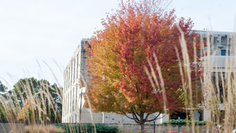 Campus in the fall