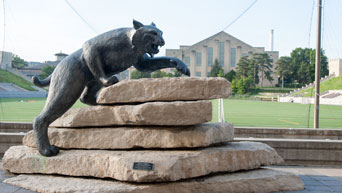 Seven-foot bronze Wildcat statue overlooking the Alumni Center's Johnson Terrace