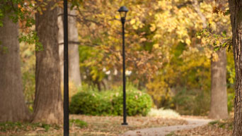 Walking path on campus. 