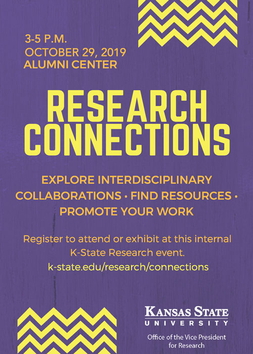 Research Connections 2019 flyer