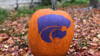 Wildcat painted on pumpkin