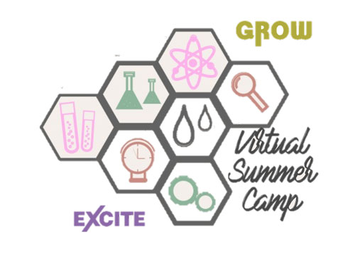 The 2020 Virtual Summer Workshop logo