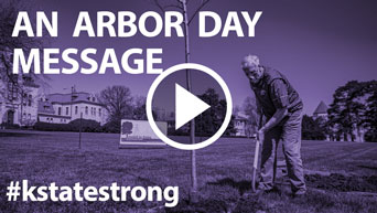 Arbor Day