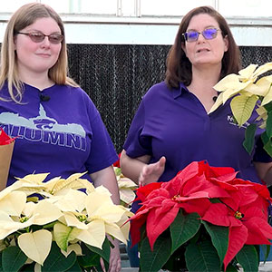 Two ladies near table with poinsettias surrounding them