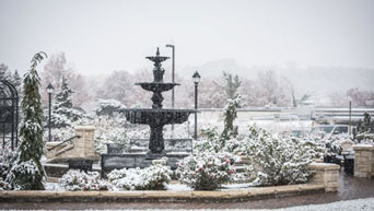 Snow at the Kansas State University Gardens 