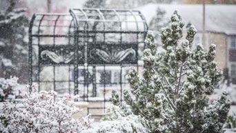 Snow at the Kansas State University Gardens 