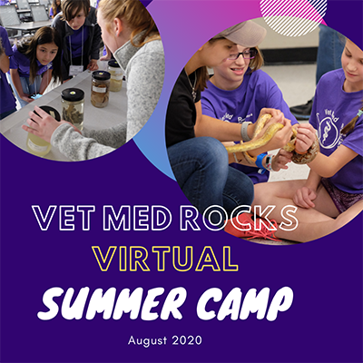 Vet Med ROCKS Virtual Summer Camp