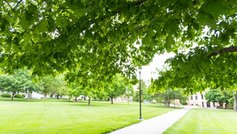 Sidewalk on the campus Quad