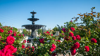 Fountain at Kansas State University Gardens