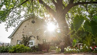 Kansas State University Insect Zoo