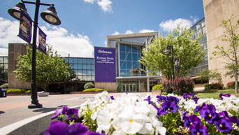 Purple and white flowers bloom on campus