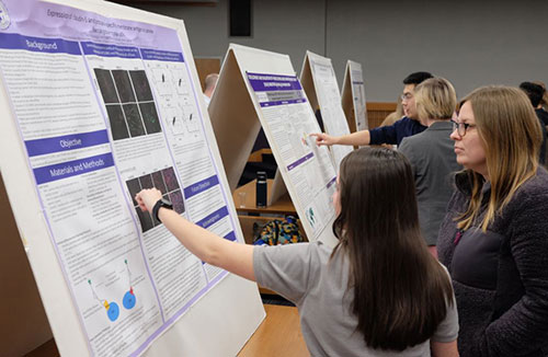 Students present research posters at Phi Zeta Research Day