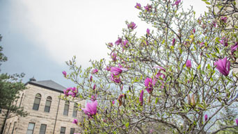 Spring on campus 