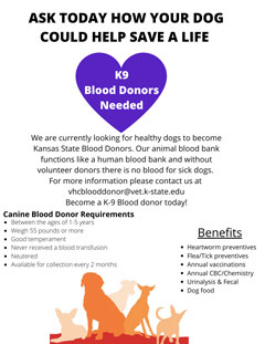 K-9 blood donors