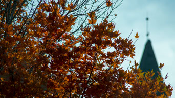 Fall colors on campus