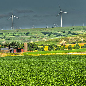 Rural community with wind turbines in the background