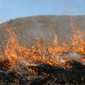 Controlled rangeland burning
