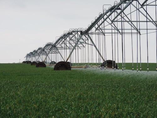 Center pivot irrigation in use
